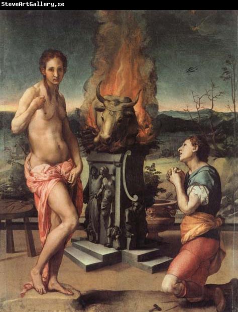 Agnolo Bronzino Pygmalion and Galatea